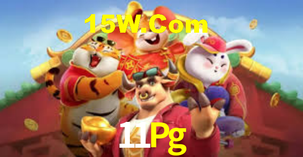 Segurança e privacidade no APP 11Pg